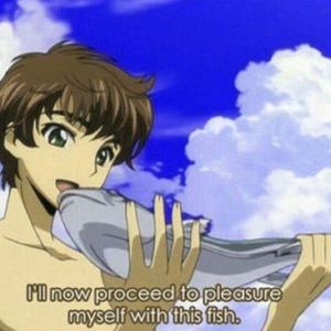 Meet your Posher, Ayaat